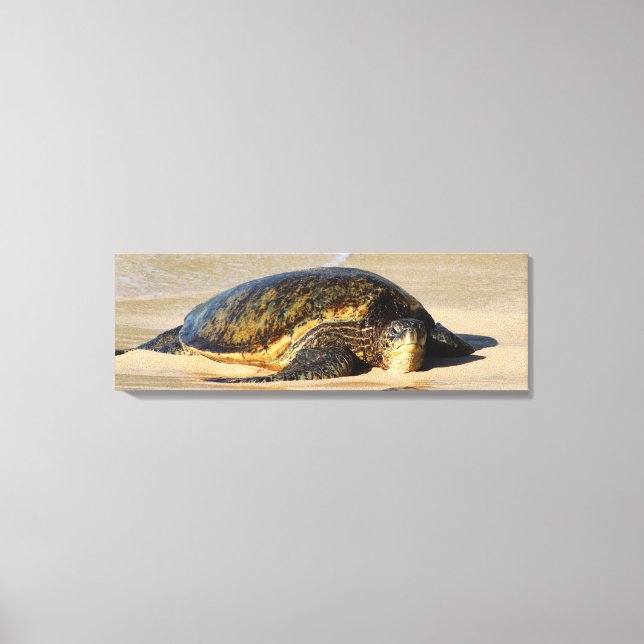 Kanvastrycket Hawaiian Sea Turtle Canvastryck (Framsida)