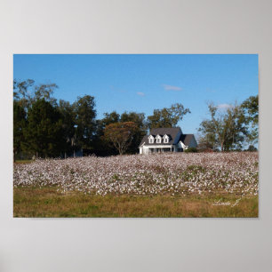 Kanvastrycket House och Cotton Fält Poster