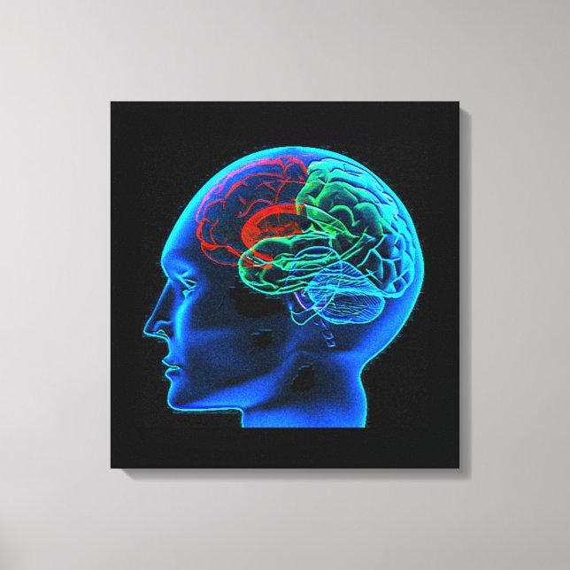 Kanvastrycket "Human Brain Stretched" Canvastryck (Framsida)