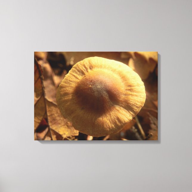 Kanvastrycket Inocybe napipes Mushroom Canvastryck (Framsida)
