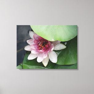 Kanvastrycket Lotus Blomsterfotografi Canvastryck