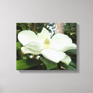 Kanvastrycket Magnolia Grandiflora Canvastryck