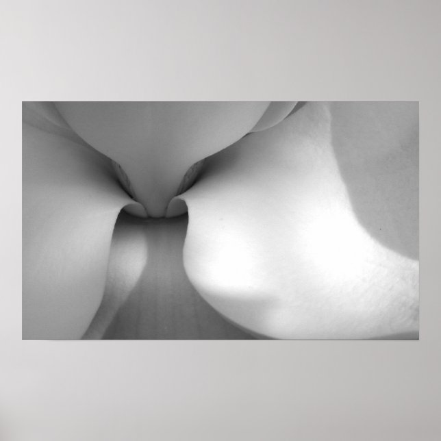 Kanvastrycket Magnolia Poster (Framsidan)