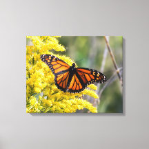 Kanvastrycket Monarch Butterfly