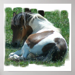 Kanvastrycket Paint Pony Poster