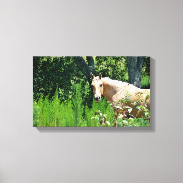Kanvastrycket Palomino Horse Photograph Canvastryck (Framsida)