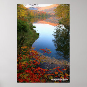 Kanvastrycket Paradise för katfärhöst Poster