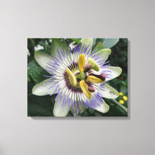 Kanvastrycket Passion Flower Canvastryck