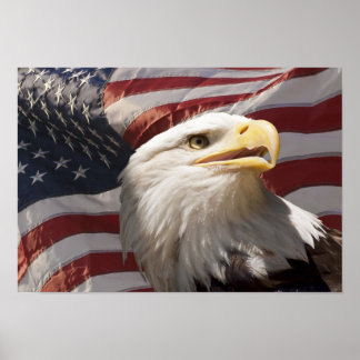 Kanvastrycket Patriotic Eagle Poster