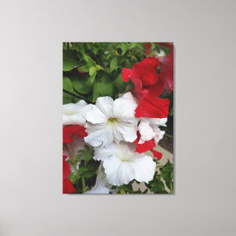 Kanvastrycket Petunias Red and White Canvastryck