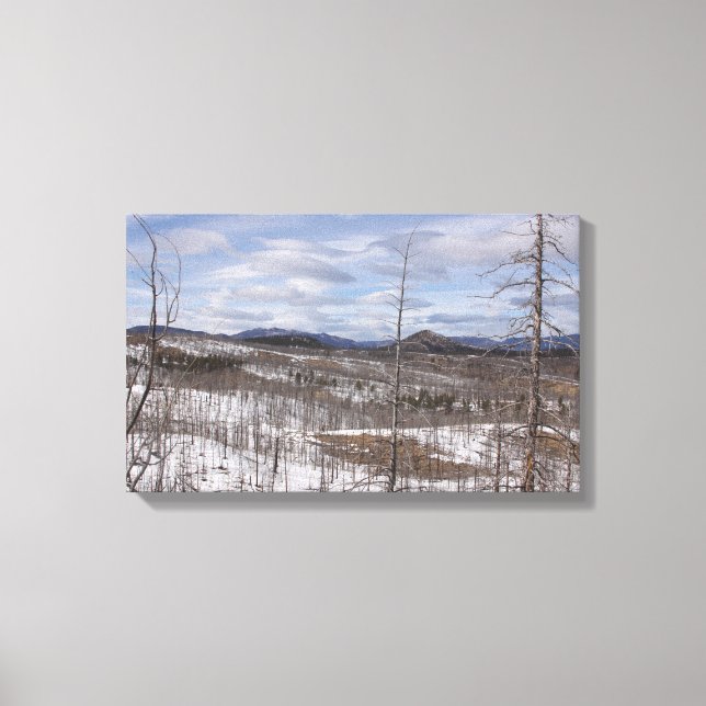 Kanvastrycket Pike Forest Canvastryck (Framsida)