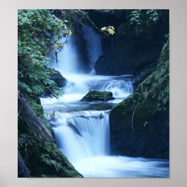 Kanvastrycket Quinalt Waterfall Poster (Framsidan)