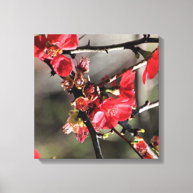 Kanvastrycket Red Blommars Blommigt Canvastryck (Framsida)