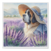 Kanvastrycket Saint Bernard i fält i lavender