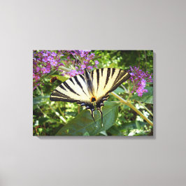 Kanvastrycket Scarce Swallowtail Butterfly Canvastryck