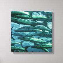 Kanvastrycket School of Grönt Fish