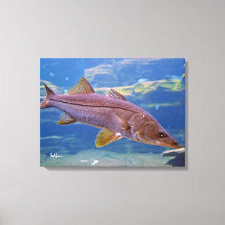 Kanvastrycket Snook Fish Canvastryck