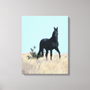Kanvastrycket Stallion Voodoo Canvastryck