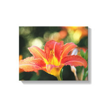 Kanvastrycket Summer Daylily