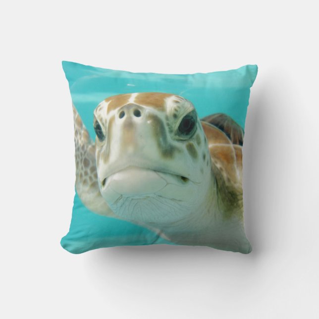 Kanvastrycket Turtle Round Clock Faux Kudde (Framsida)