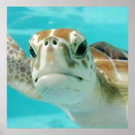 Kanvastrycket Turtle Round Clock Faux Poster