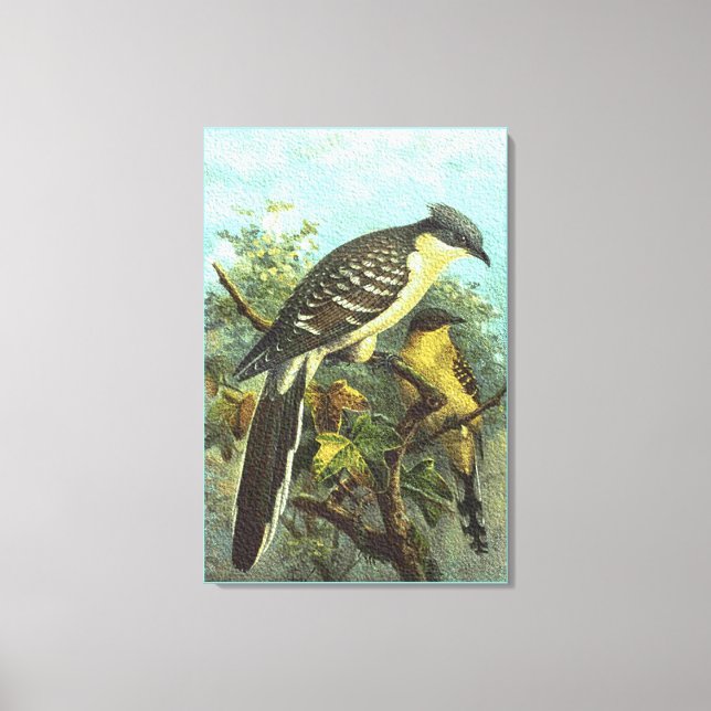 Kanvastrycket Underbara burkfåglar Canvastryck (Framsida)