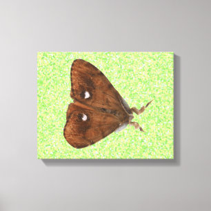 Kanvastrycket Vapourer Moth Canvastryck