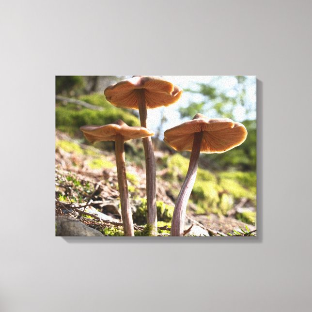Kanvastrycket vår Mushroom still Life Canvastryck (Framsida)