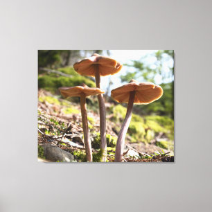 Kanvastrycket vår Mushroom still Life Canvastryck