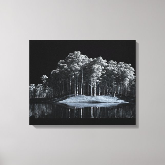Kanvastrycket Vita Skogen (Natt) Canvastryck (Framsida)