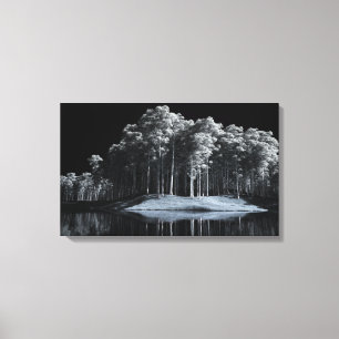 Kanvastrycket Vita Skogen (natt) Canvastryck