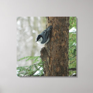 Kanvastrycket White Brested Nuthatch (Forest) Canvastryck