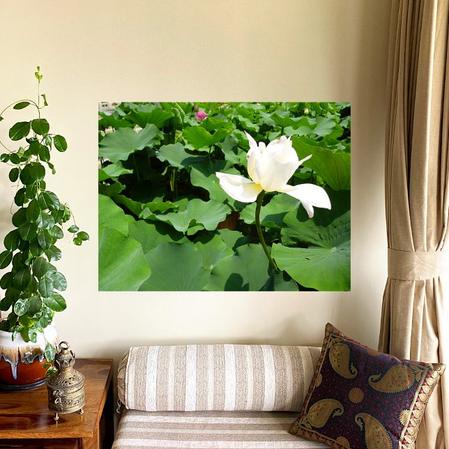 Kanvastrycket White Lotus Flower Poster (Skapare uppladdad)