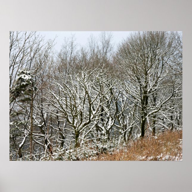 Kanvastrycket Winter Macclesfield Forest Card Poster (Framsidan)