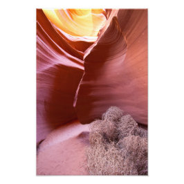 Kanyon av många färg fototryck