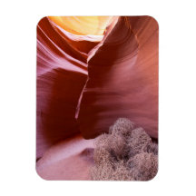 Kanyon av många färg