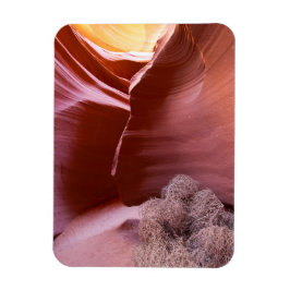 Kanyon av många färg magnet