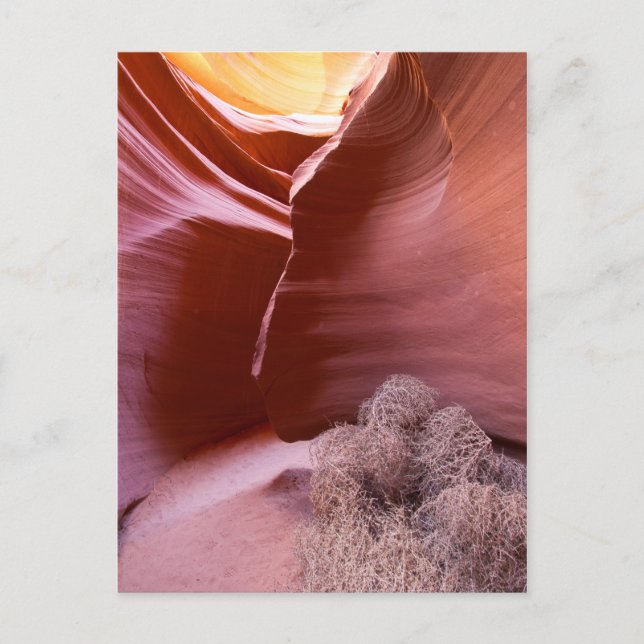 Kanyon av många färg vykort (Framsida)