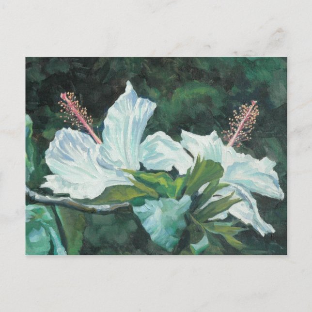 Kao Kao 5 Vykort (Framsida)