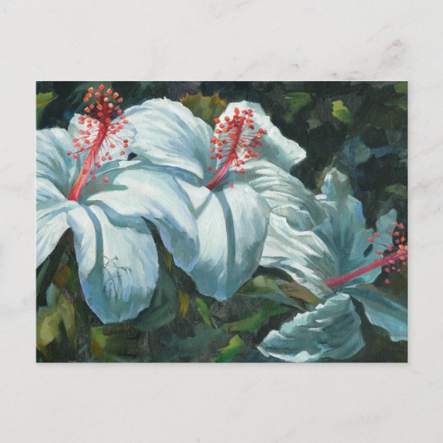 Kao Kao 6 Vykort (Framsida)