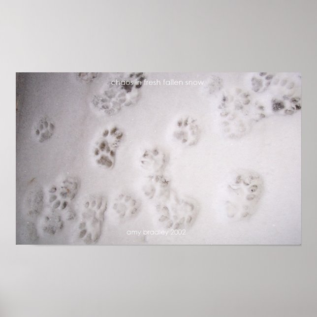 kaos i färsk död snö poster (Framsidan)