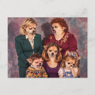 Kaotisk Chihuahua familjeporträtt, 1990-tals stil Vykort