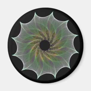 kaotiskt attraktion magnet
