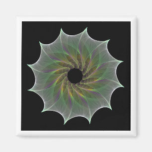 kaotiskt attraktion magnet