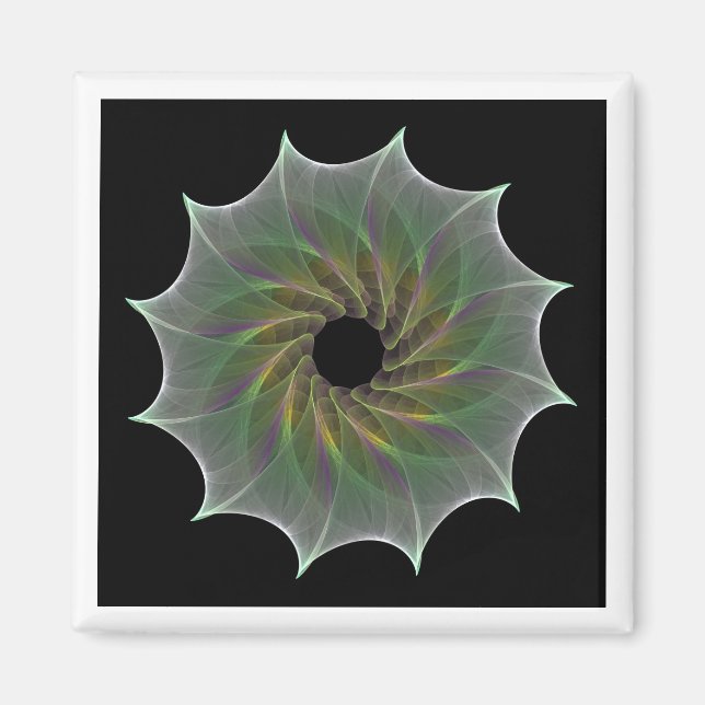 kaotiskt attraktion magnet (Framsidan)