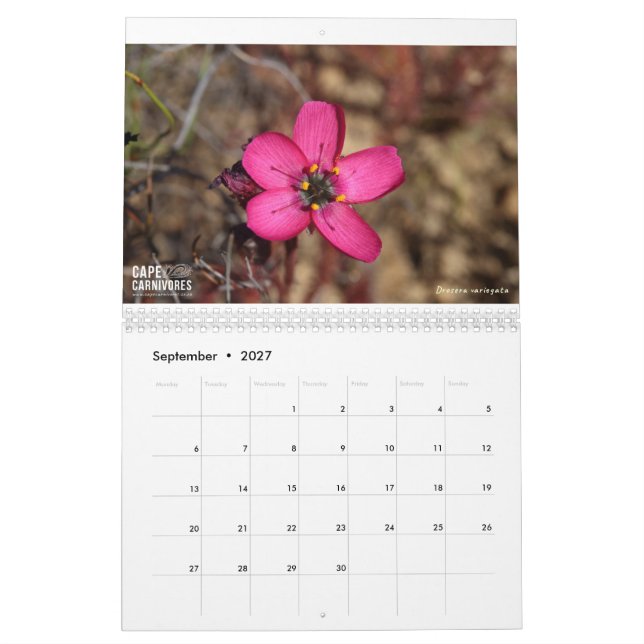 Kap Carnivores Calendar 2022 Kalender (Sep 2027)