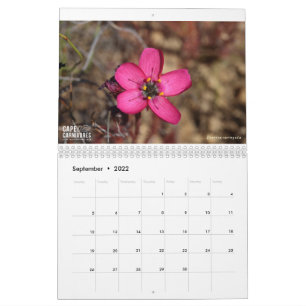 Kap Carnivores Calendar 2022 Kalender
