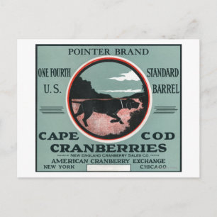 Kap Cod Pointer Brand Cranberry Label Vykort