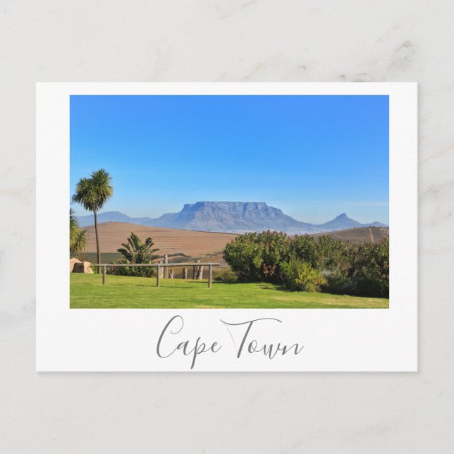 Kap Town Bord Mountain View Grass Ligcape Vykort (Framsida)