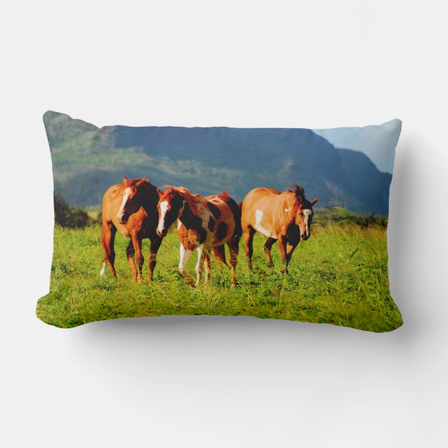 Kapaa hästar - Kauai Hawaii Lumbarkudde (Framsida)